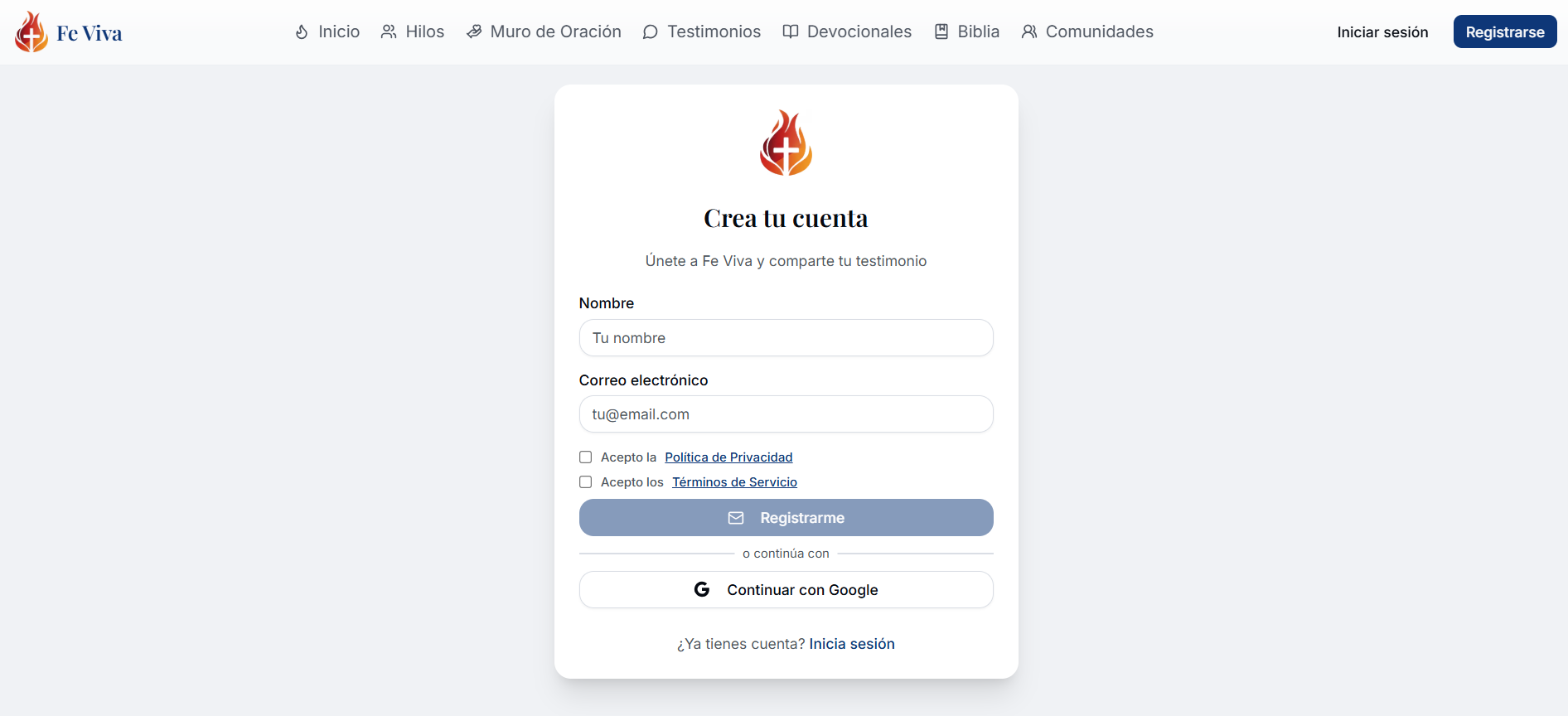 FE VIVA visual 4